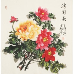 Peony - CNAG005620
