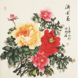 Peony - CNAG005621