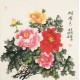 Peony - CNAG005624
