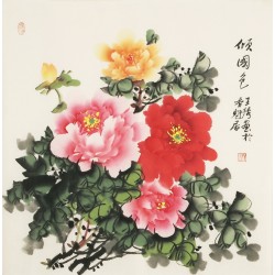 Peony - CNAG005624