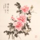 Peony - CNAG005625