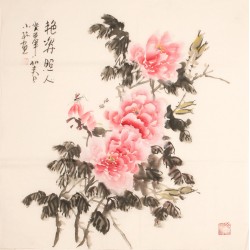 Peony - CNAG005625