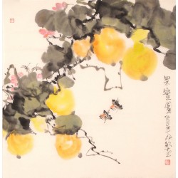 Other Birds - CNAG005626