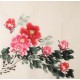 Peony - CNAG005627