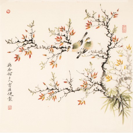 Other Birds - CNAG005631
