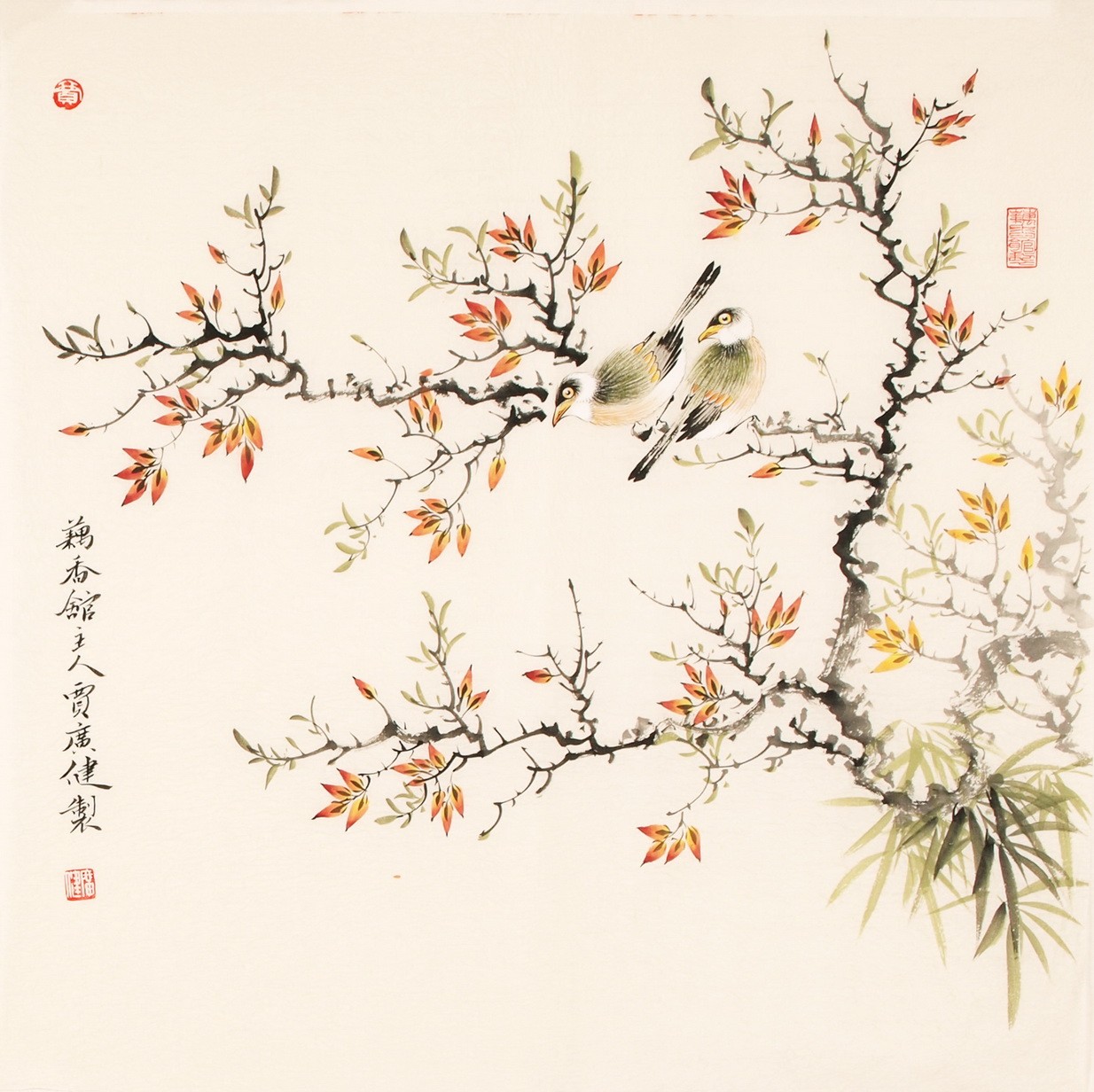 Other Birds - CNAG005631
