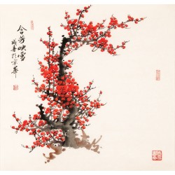 Plum - CNAG005633