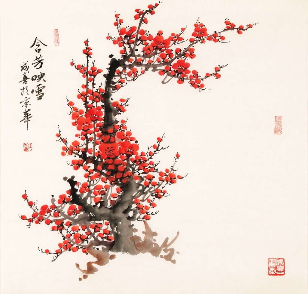 Plum - CNAG005633