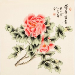 Peony - CNAG005637
