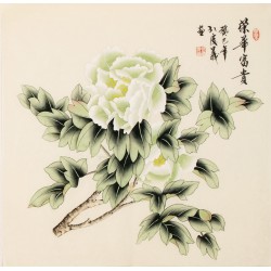 Peony - CNAG005638