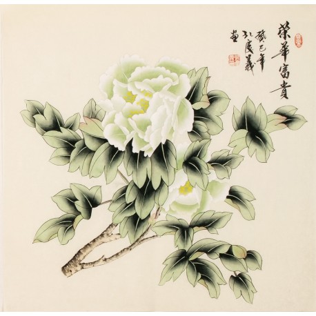 Peony - CNAG005638