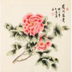 Peony - CNAG005639