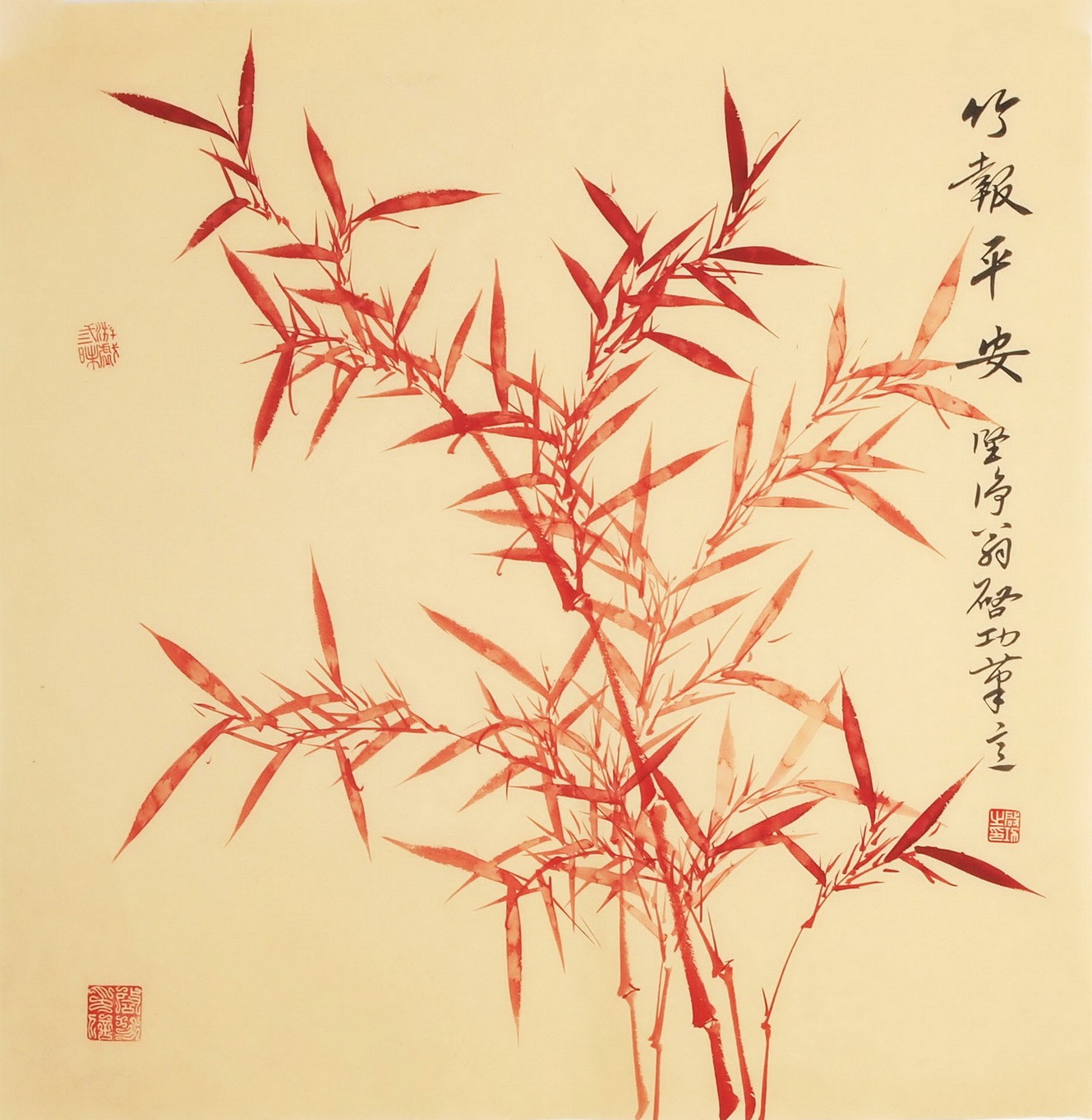 Bamboo - CNAG005640