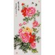 Peony - CNAG000565