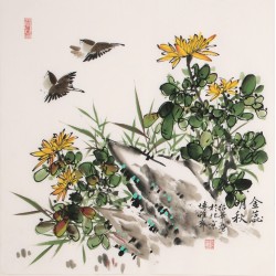 Chrysanthemum - CNAG005649