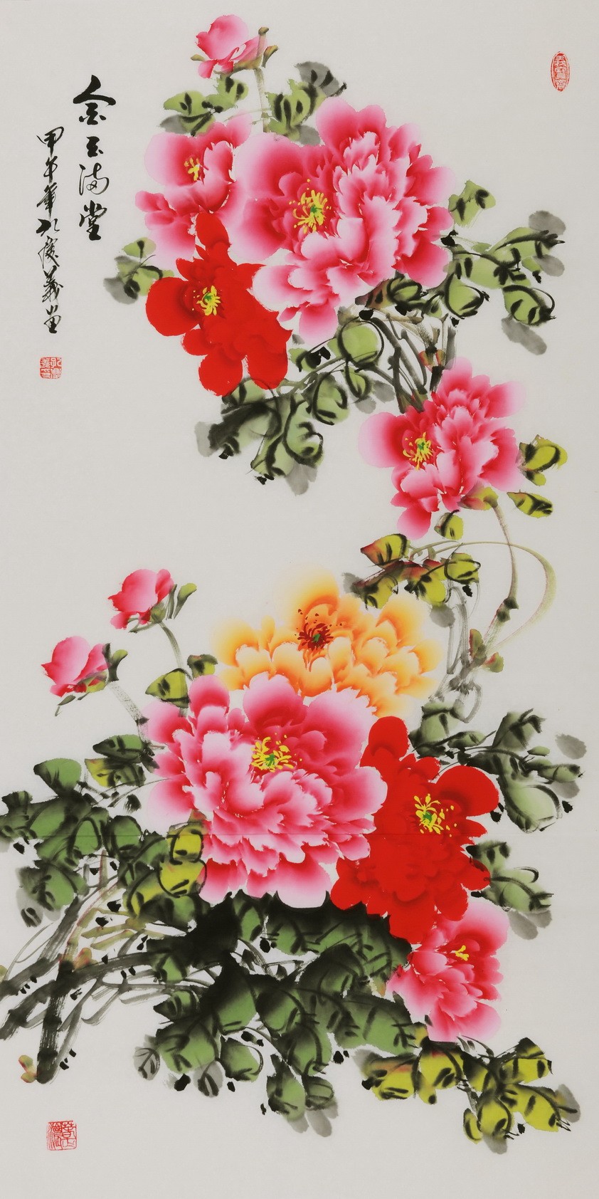 Peony - CNAG000566