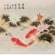 Fish - CNAG005656