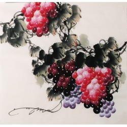 Grapes - CNAG005665