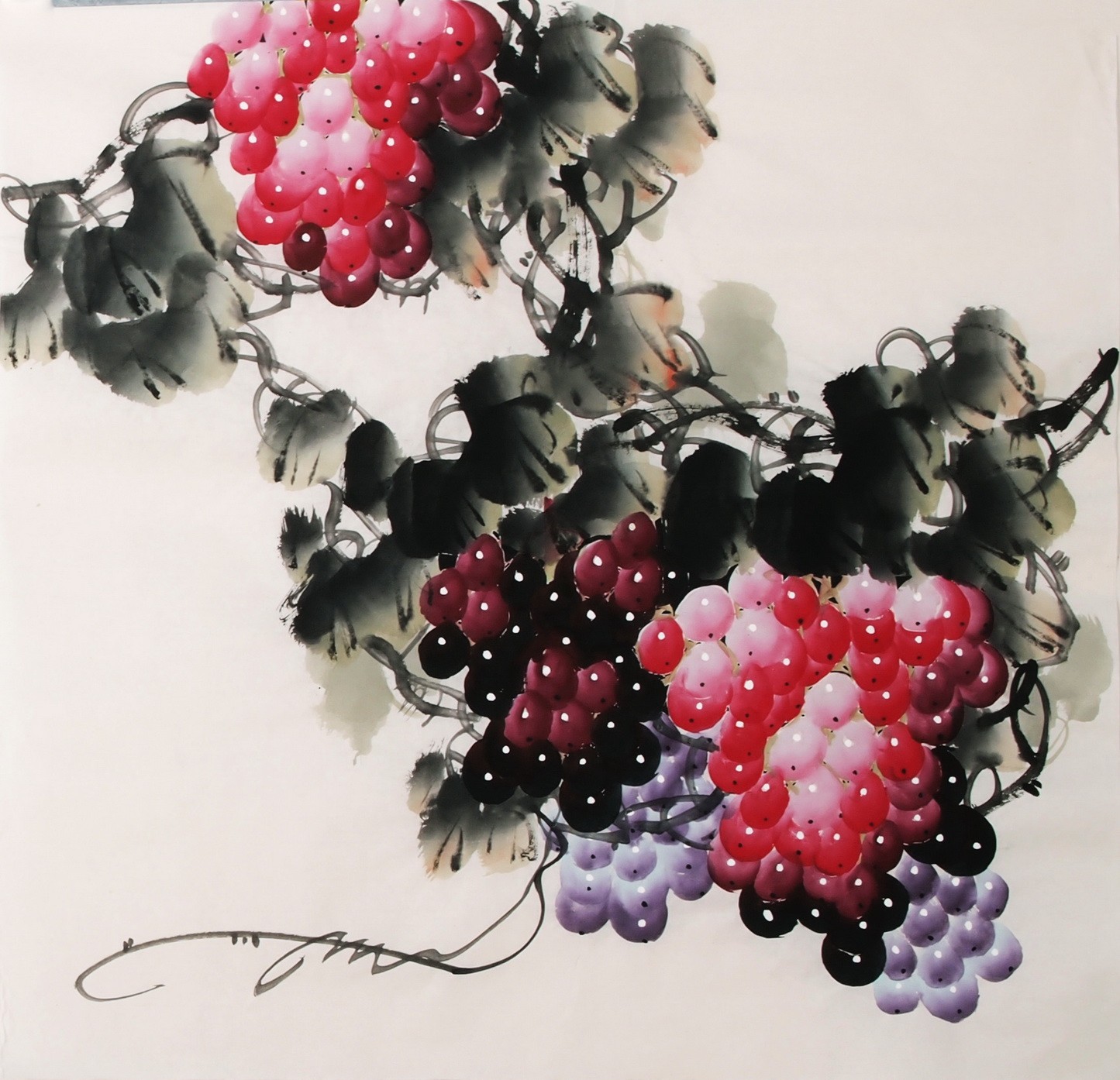 Grapes - CNAG005665