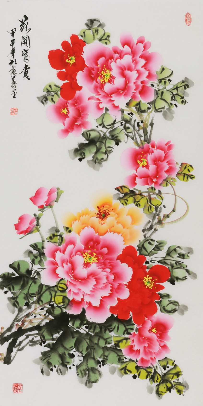 Peony - CNAG000567
