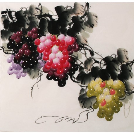 Grapes - CNAG005666