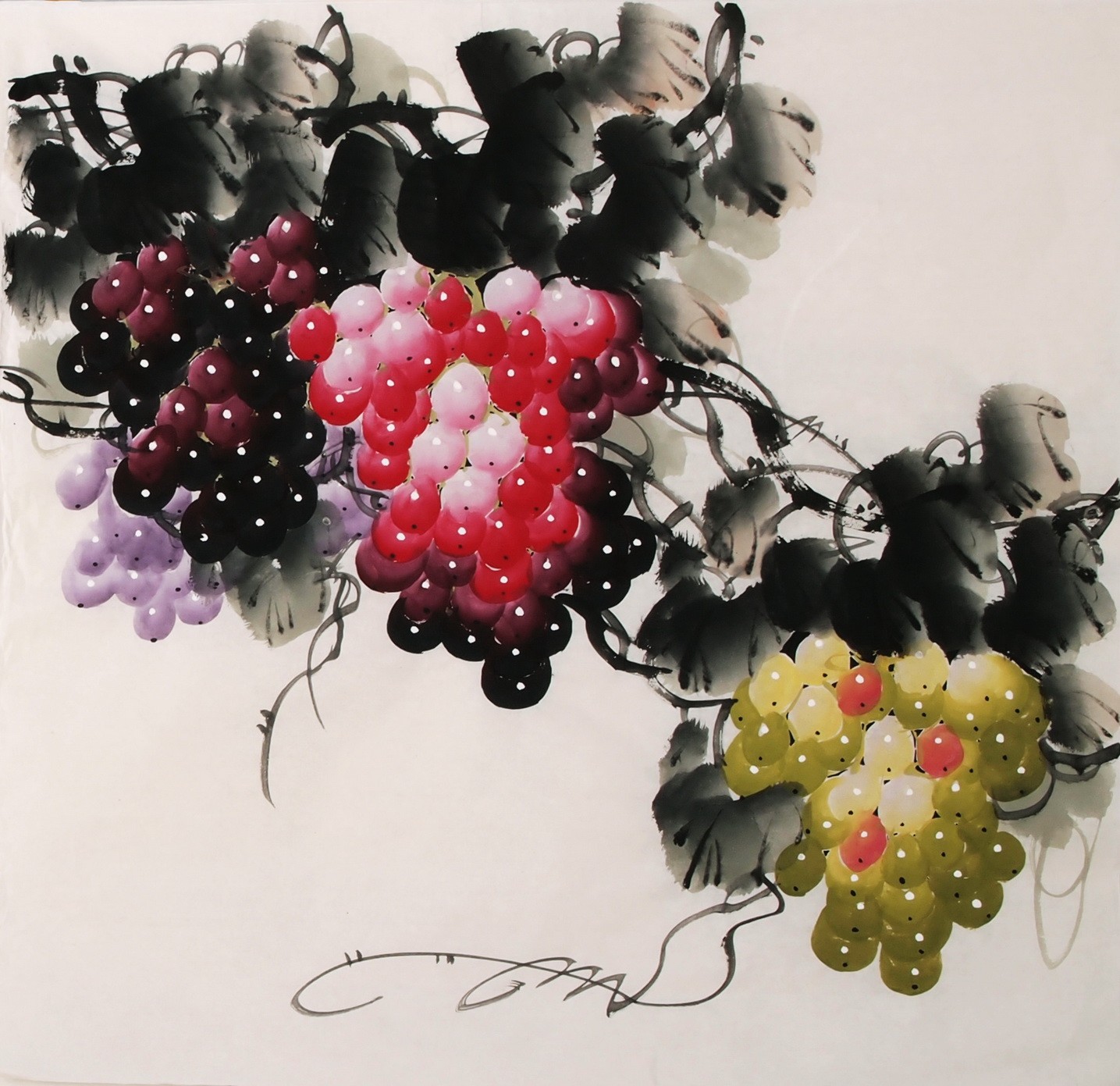Grapes - CNAG005666