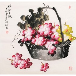 Grapes - CNAG005668