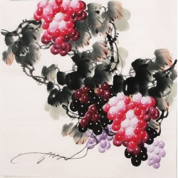 Grapes - CNAG005673