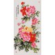 Peony - CNAG000568