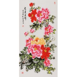 Peony - CNAG000568