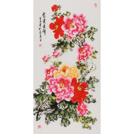 Peony - CNAG000568