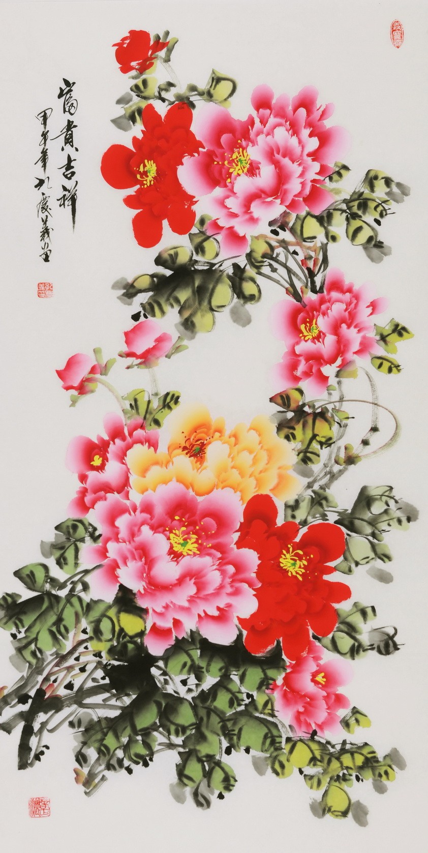 Peony - CNAG000568