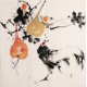 Chicken - CNAG005678