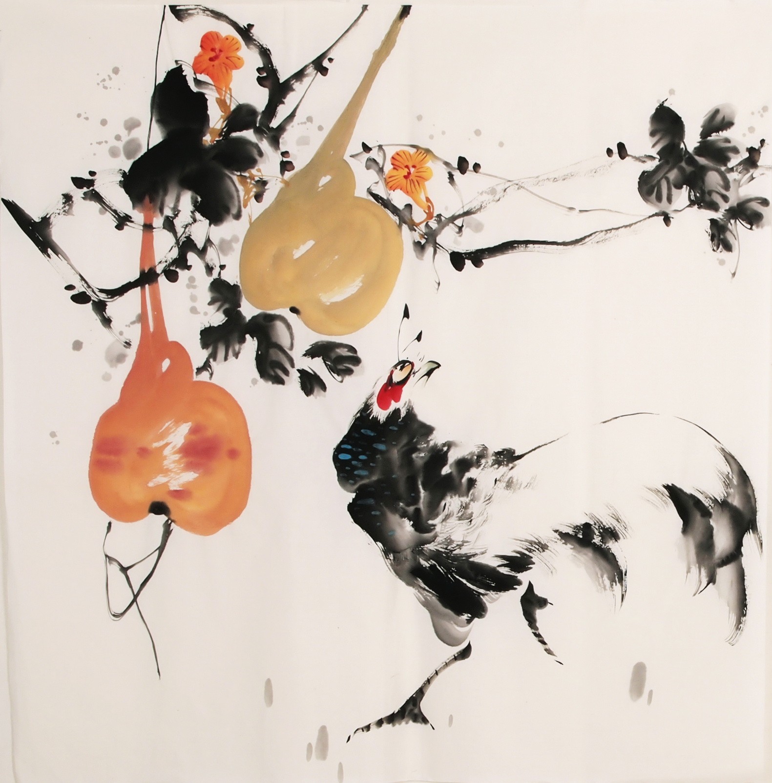 Chicken - CNAG005678