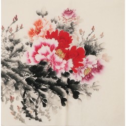 Peony - CNAG005685