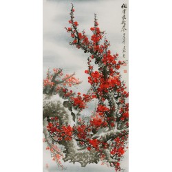 Plum - CNAG000569