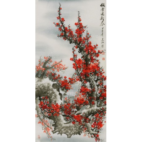 Plum - CNAG000569