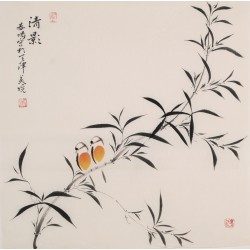 Bamboo - CNAG005689