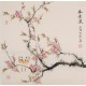 Peach Blossom - CNAG005690