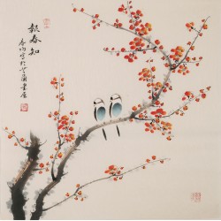 Plum - CNAG005692
