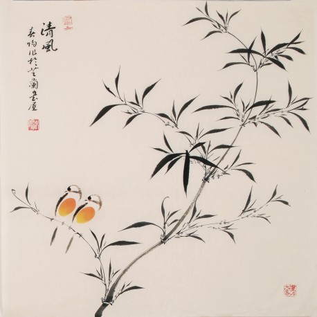 Bamboo - CNAG005693