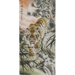 Tiger - CNAG000057