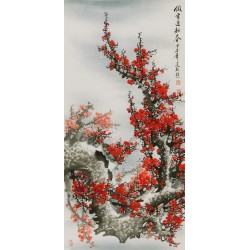 Plum - CNAG000570