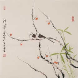Other Birds - CNAG005696