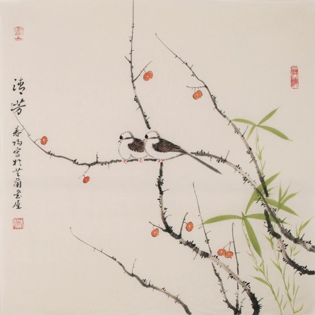 Other Birds - CNAG005696