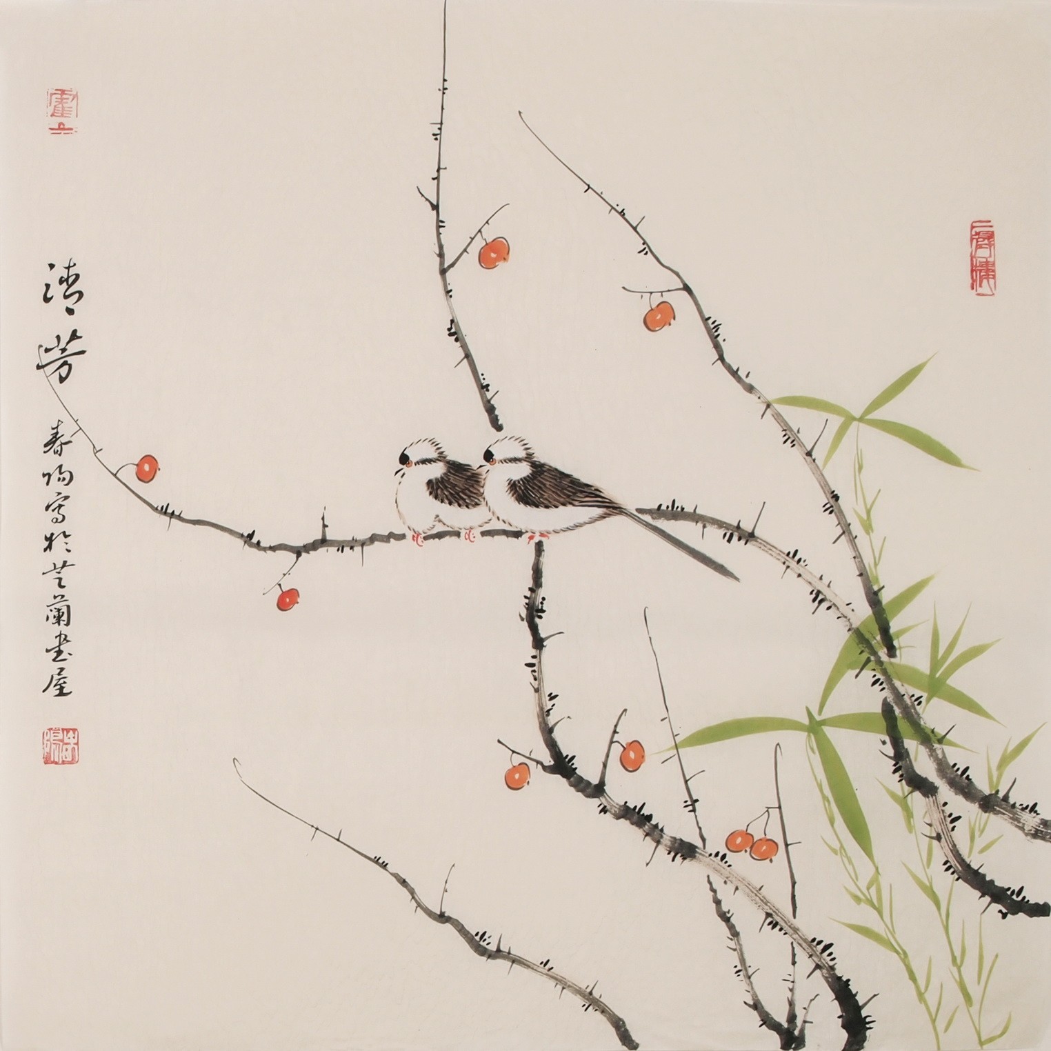 Other Birds - CNAG005696