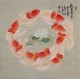 Fish - CNAG005699