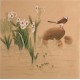 Other Birds - CNAG005707