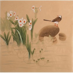 Other Birds - CNAG005707