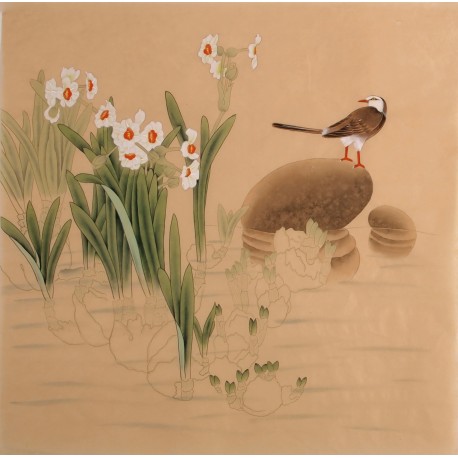 Other Birds - CNAG005707